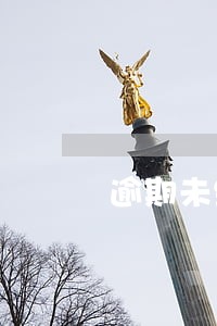 逾期未缴纳税款的行为 逾期未缴纳税款的行为