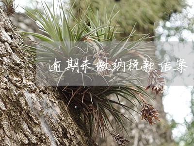 逾期未缴纳税款结案 逾期未缴纳税款结案