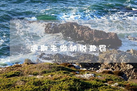 逾期未缴纳税款罚 逾期未缴纳税款罚