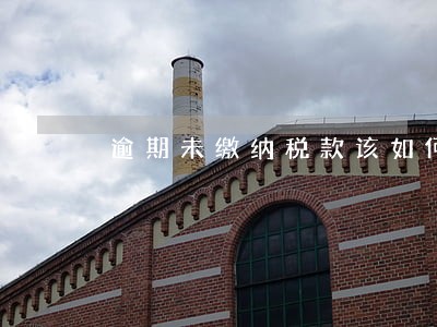 逾期未缴纳税款该如何处理 逾期未缴纳税款该如何处理