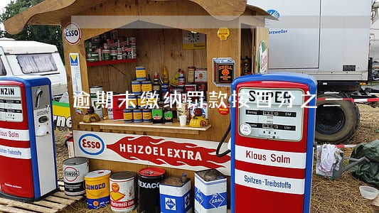 逾期未缴纳罚款按百分之三 逾期未缴纳罚款按百分之三