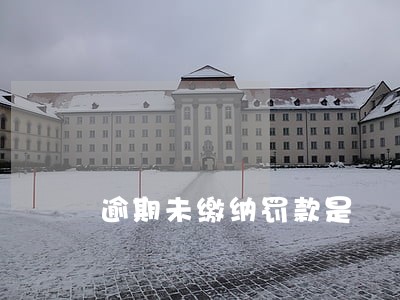 逾期未缴纳罚款是 逾期未缴纳罚款是