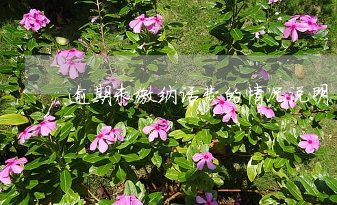 逾期未缴纳话费的情况说明 逾期未缴纳话费的情况说明