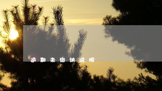 逾期未缴纳说明 逾期未缴纳说明