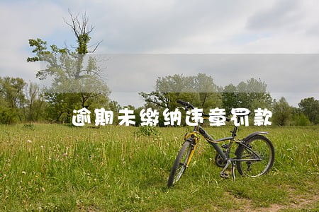 逾期未缴纳违章罚款 逾期未缴纳违章罚款