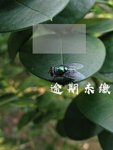 逾期未缴费 逾期未缴费