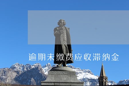 逾期未缴费应收滞纳金 逾期未缴费应收滞纳金
