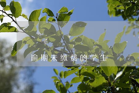 逾期未缴费的学生 逾期未缴费的学生