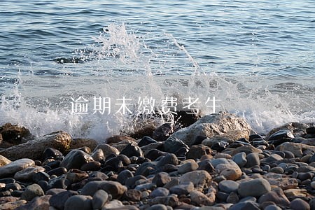 逾期未缴费考生 逾期未缴费考生