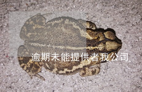 逾期未能提供者我公司 逾期未能提供者我公司