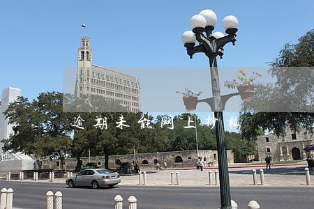 逾期未能网上抄报