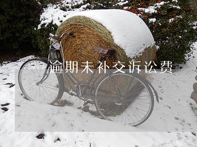 逾期未补交诉讼费 逾期未补交诉讼费