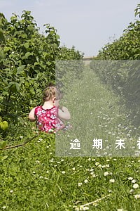逾期未被催收 逾期未被催收