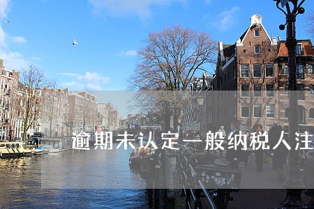 逾期未认定一般纳税人注销 逾期未认定一般纳税人注销