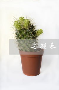 逾期未认定一般纳税人通知书 逾期未认定一般纳税人通知书
