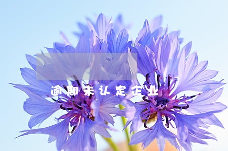 逾期未认定企业 逾期未认定企业