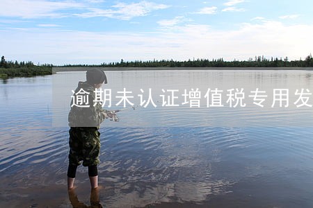 逾期未认证增值税专用发票