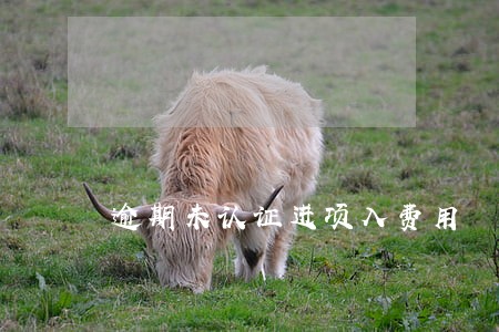 逾期未认证进项入费用 逾期未认证进项入费用