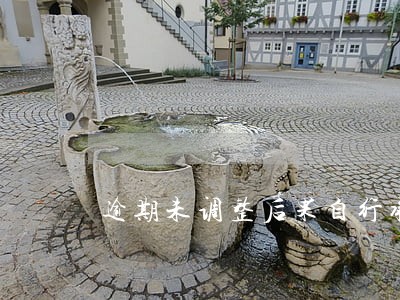 逾期未调整后果自行承担 逾期未调整后果自行承担