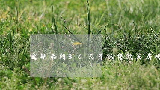 逾期未超30天可以贷款买房吗 逾期未超30天可以贷款买房吗