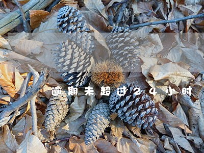 逾期未超过24小时 逾期未超过24小时