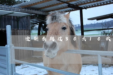 逾期未超过30天10次 逾期未超过30天10次