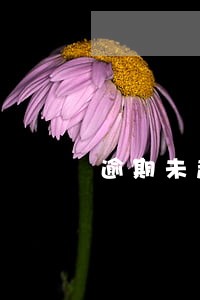 逾期未超过30影响贷款吗 逾期未超过30影响贷款吗