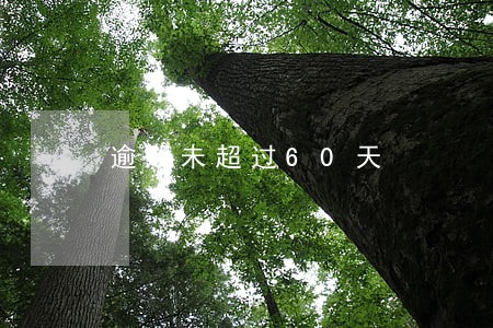 逾期未超过60天 逾期未超过60天