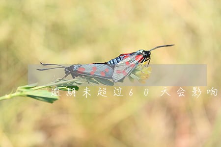 逾期未超过60天会影响征信吗 逾期未超过60天会影响征信吗