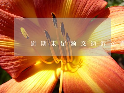 逾期未足额交纳诉讼费 逾期未足额交纳诉讼费
