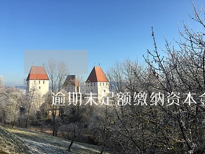 逾期未足额缴纳资本金的违约责任 逾期未足额缴纳资本金的违约责任