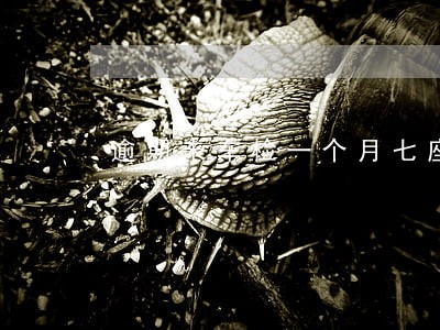 逾期未车检一个月七座 逾期未车检一个月七座