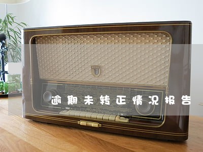 逾期未转正情况报告