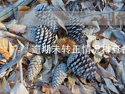逾期未转正情况排查报告