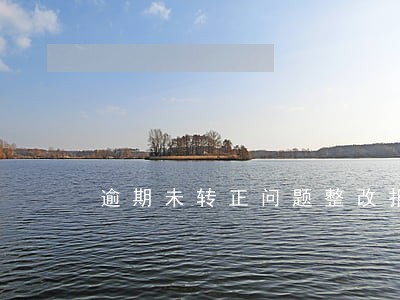 逾期未转正问题整改报告