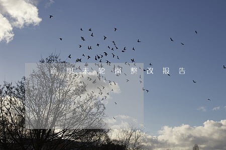 逾期未轮岗整改报告 逾期未轮岗整改报告