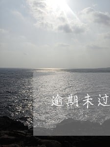 逾期未过户补充协议 逾期未过户补充协议