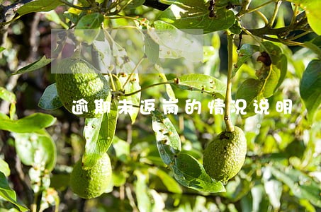 逾期未返岗的情况说明 逾期未返岗的情况说明