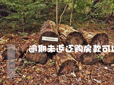 逾期未返还购房款可以主张利息吗 逾期未返还购房款可以主张利息吗