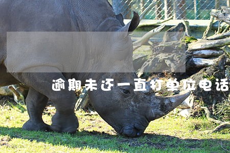 逾期未还一直打单位电话 逾期未还一直打单位电话