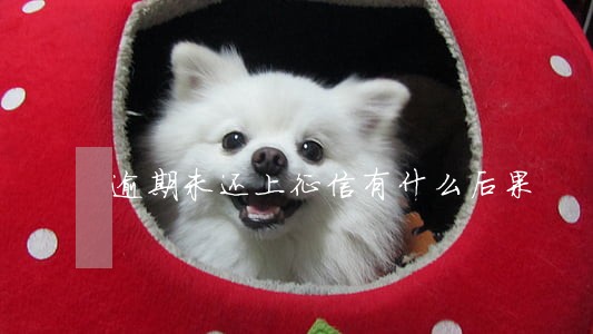 逾期未还上征信有什么后果 逾期未还上征信有什么后果