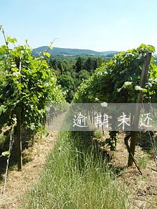 逾期未还上报征信 逾期未还上报征信