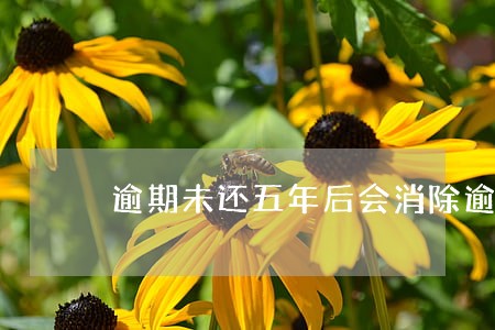 逾期未还五年后会消除逾期吗 逾期未还五年后会消除逾期吗