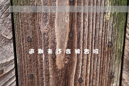 逾期未还会被告吗 逾期未还会被告吗
