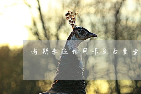 逾期未还信用卡是否要坐牢