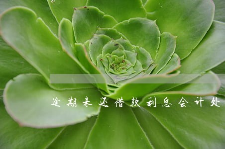 逾期未还借款利息会计处理