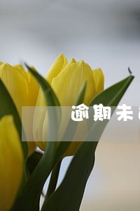 逾期未还催款短信末班 逾期未还催款短信末班