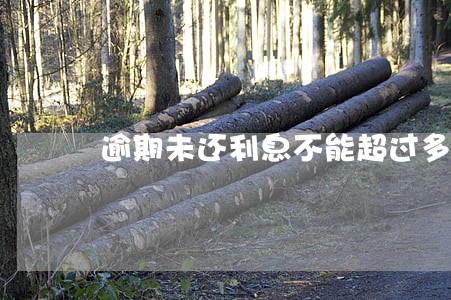 逾期未还利息不能超过多少 逾期未还利息不能超过多少