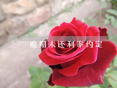逾期未还利率约定 逾期未还利率约定