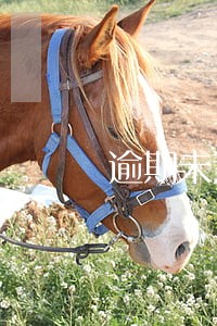逾期未还可以做二次抵押吗 逾期未还可以做二次抵押吗